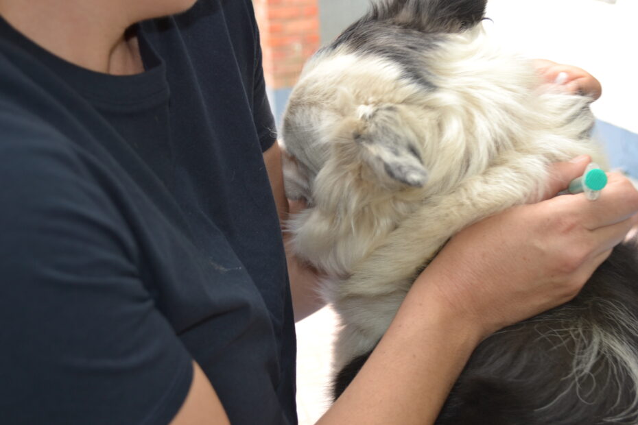 Therapyvet Medicina Preventiva Sevilla